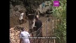 700,000-year-old bone discovery confirms existence of three-foot-tall early 'hobbit' humans News Clip