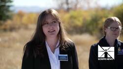 Deer collisions increase by 16% in the week following time change, study finds News Clip