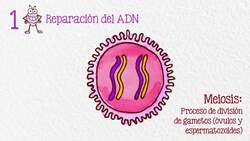 ¿Por qué existe el sexo? Instructional Video