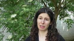 World yoga day - Jazz yoga, yoga for stress, and yoga at work News Clip