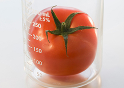 Genetic Modification Instructional Video