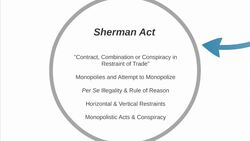 Antitrust Law (Intro) Instructional Video