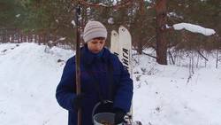 Pine cone harvest for seeds poor third year running Instructional Video