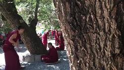 Tibetan monks are debating in Sera Monastery. Stock Footage
