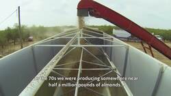 Why California's five-year drought pits almonds against salmon Instructional Video