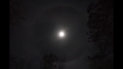 Corona vs. Halo Instructional Video