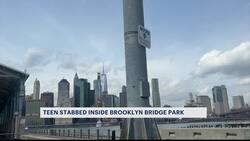 Police 13-year-old boy stabbed 3 times in Brooklyn Bridge Park; spectators say hundreds of teens went running in a mob News Clip
