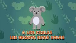 I WONDER - Do Koalas Live In Groups? Me Pregunto - Viven Los Koalas En Grupos? Instructional Video