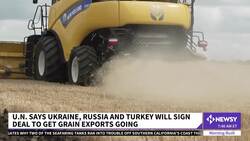 Ukraine, Russia Sign U.N. Deal To Export Grain On Black Sea News Clip