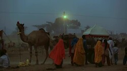 Pushkar Camel Fair, India Stock Footage