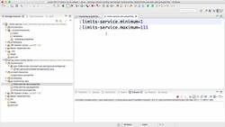 Master Microservices with Spring Boot and Spring Cloud - Step 10 – Configuring Profiles for Limits Service Instructional Video