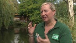 Conservative Party unveil a package of animal welfare measures News Clip