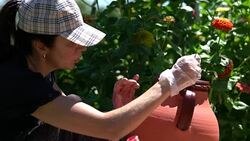 Women Decorating Bowl In Pottery Class Stock Footage