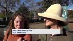 Bed-Stuy dog park expected to receive $1M to $3M in funding for reconstruction project News Clip