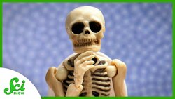 Your Bones Do More Than You Think Instructional Video