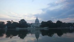 Wheat: From Ancient Times to the Present Instructional Video