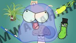 Biological Levels in Biology: The World Tour Instructional Video