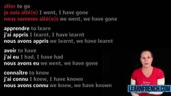 Group 3 Irregular French Verbs (Passé Composé - Past Tense) Instructional Video