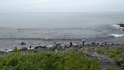 Fishermen Fishing For Pink Salmon At The Sea Of Okhotsk In Hokkaido, Japan Stock Footage