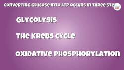 Cellular Respiration: How Do Cells Get Energy? Instructional Video
