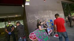 Protesters outside Novak Djokovic's quarantine hotel in Melbourne News Clip