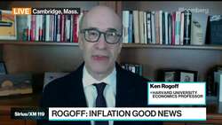 Rogoff Sees 'Accident Waiting to Happen' in Emerging Markets News Clip