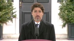Trudeau says there will be 'an awful lot of learning' about COVID-19 response News Clip