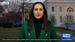 Proposed tariffs on Canada, Mexico paused after countries agree to tougher border security measures News Clip