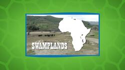 Go Inside the World of the Cape Buffalo, One of the Coolest Animals in the Wild! Instructional Video