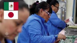 Executive orders News Clip