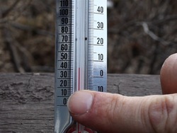 ¿Por qué medimos?: unidades de medida Instructional Video