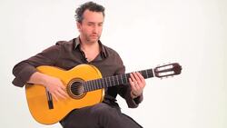 Flamenco Guitar Techniques: How to Play Rasgueos Instructional Video