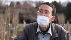 CLEAN : Prettier in pink: the push to remake Japan's cherry blossoms News Clip