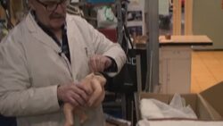 CLEAN : In Madrid, a 'toy hospital' marks its last Christmas News Clip