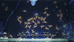 Empowering Local Communities for Sustainable Conservation in Borneo Instructional Video