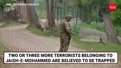 Big Action By Indian Forces; Pak Terror Group Operative Killed; Two More Jaish Handlers Trapped News Clip