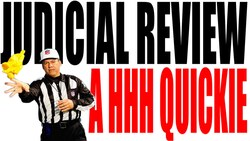 Judicial Review Explained in One Minute Instructional Video