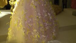 Gabrielle Union, Dwayne Wade attend Giambattista Valli Couture exhibit Instructional Video