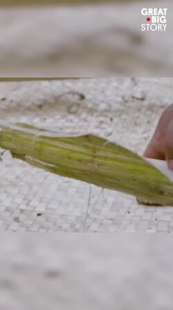 Nualolo Kai, preserving Hawaiian culture and traditions on Kaua’i Instructional Video