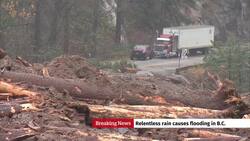 Helicopters rescue dozens trapped on B.C. highway after mudslide News Clip