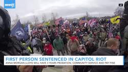First Person Sentenced In Capitol Riot, No Jail Time News Clip
