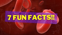 7 Fun Facts About Your Blood You Didn't Know Instructional Video