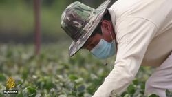 Malaysian researchers focus on resilient crops News Clip