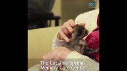 Break from Worry with Kittens Love Seniors - Your Daily Diversion Instructional Video