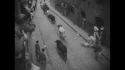 Running of bulls on Feast of St. Fermin in Pamplona, Spain News Clip