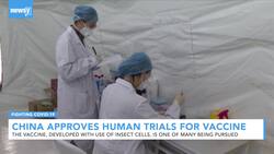 China Approves Tests For COVID-Vaccine Developed Using Insect Cells News Clip