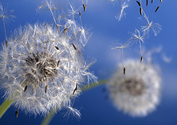 Where does wind come from? Instructional Video