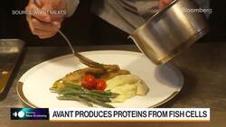 Bloomberg New Economy Catalyst: Carrie Chan News Clip