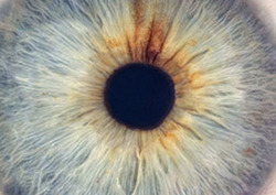 Involuntary Instructional Video