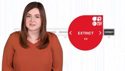 On the Brink: The Reality of Endangered and Extinct Species Instructional Video